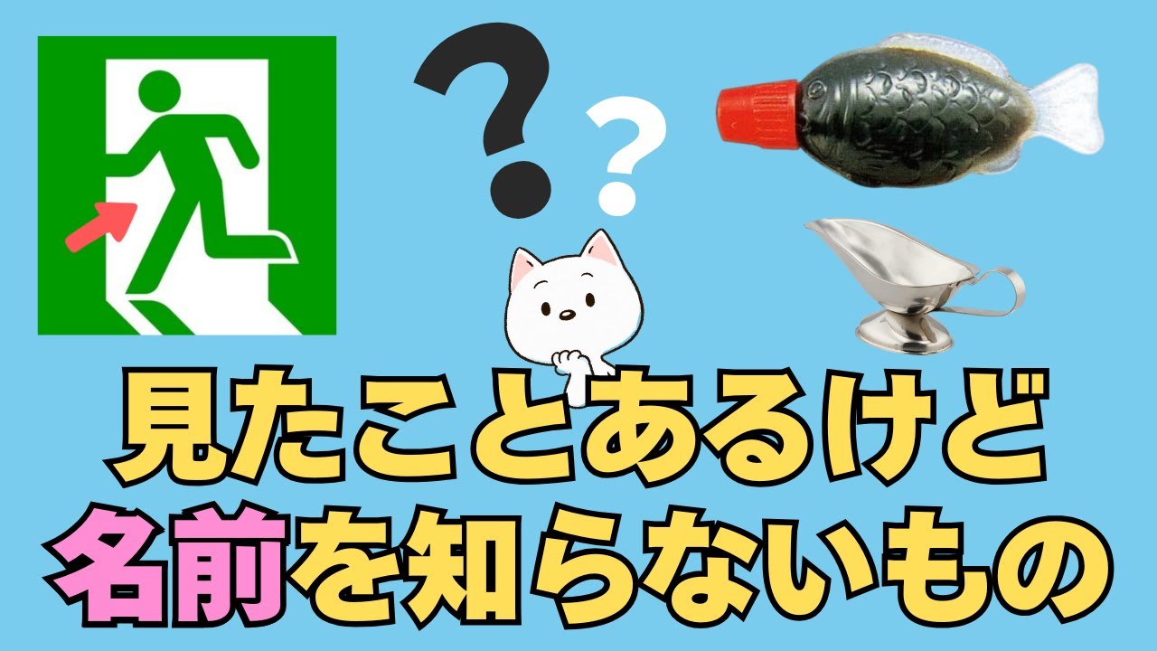 見たことあるけど【名前】を知らないもの | #雑学 - YouTube