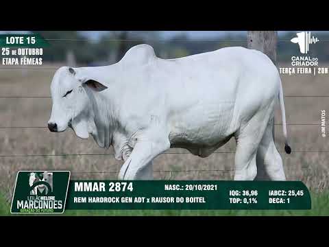 LOTE 15 MMAR 2874