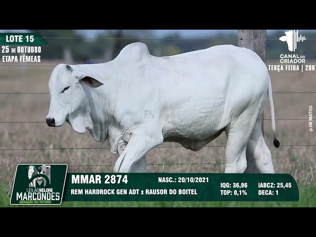 LOTE 15 MMAR 2874