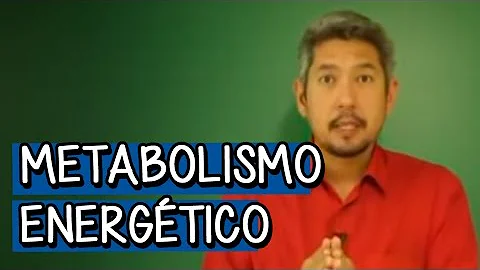 O que é o metabolismo energético *?