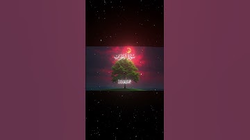سورة الأحزاب|70-73|القارئ:#محمد_اللحيدان #قران #quran #راحة_نفسية #قران_كريم#تلاوة_هادئة#تلاوة_خاشعة