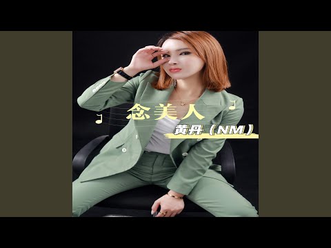 念美人 (DJheap九天版)
