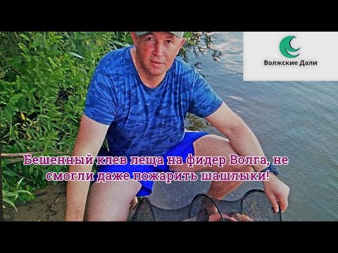Клев на волге сегодня Клев на волге сегодня