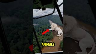 Top 5 Most Beautiful White Animals You Never Knew Existed #whiteanimals #shorts #viral
