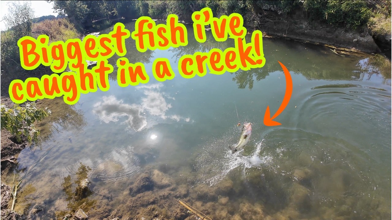 3 casts for 3 BIG BASS