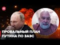 🔥 Путин хочет переговоров любой ценой, – Шейтельман