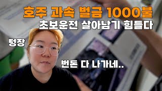 호주 과속벌금 맵다매워(속도 위반 벌금, 호주 양계장,…