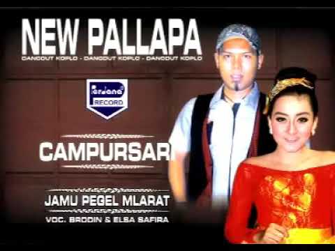 NGAKAK!!GAJAH DIPERMALUKAN WARGA JATENG,KAESANG TAK MENYANGKA AKAN SEPERTI INI!!