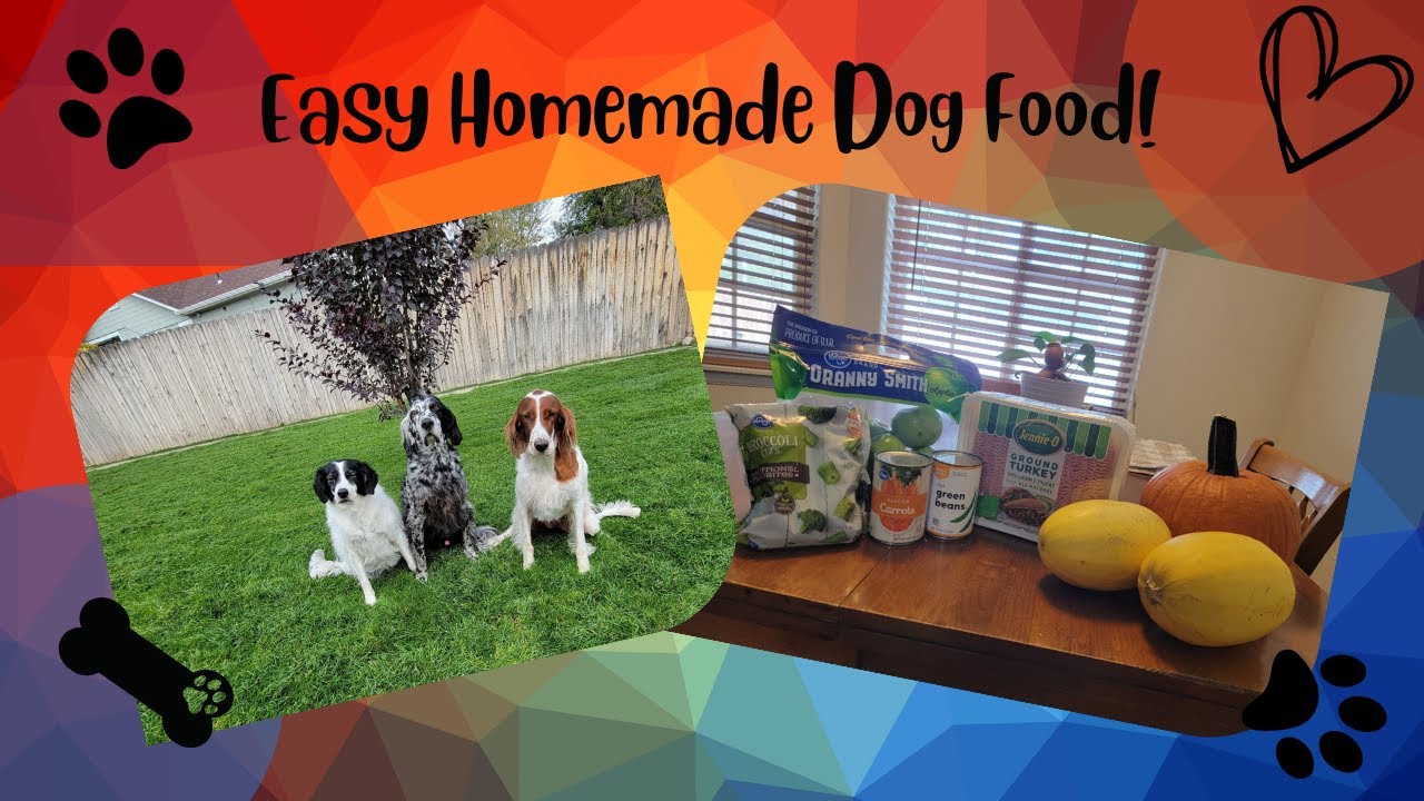 Easy Homemade Dog Food Recipe YouTube