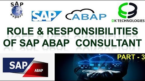 SAP ABAP | Role and Responsibilities of SAP ABAP Consultant VIDEO -3 | SAP ABAP | DK TECHNOLOGIES