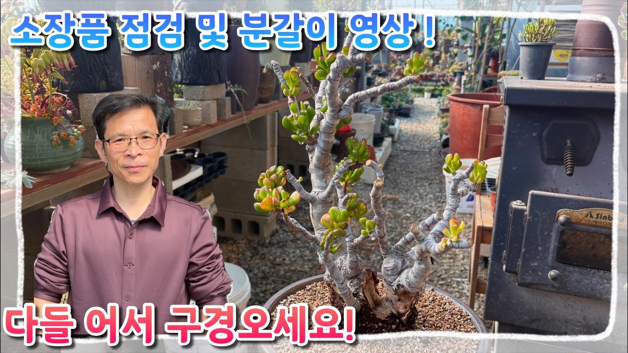 꽃이다의 소장품 점검 및 분갈이 해주기 !! 아빠와 함께하는 힐링 영상 구경오세요 ~!
