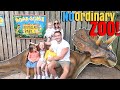 Family day at the zoo || Drusillas Park