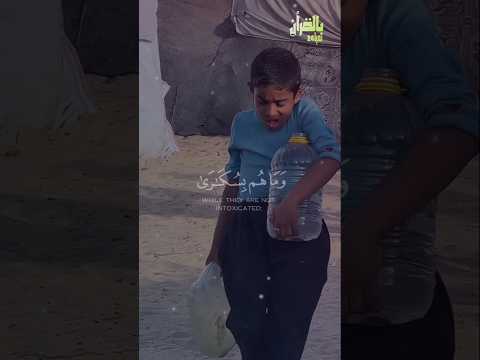 الشيخ محمد عبد الوهاب الطنطاوي Quran حالات واتس 