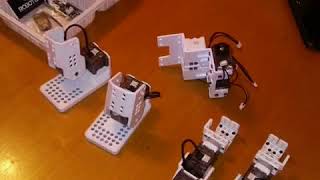 Sandy and Gabriel build a Robotis Mini