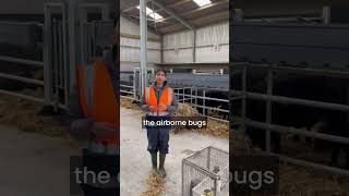 BEEF2026 Open Day - Keerthana Kissanthomas