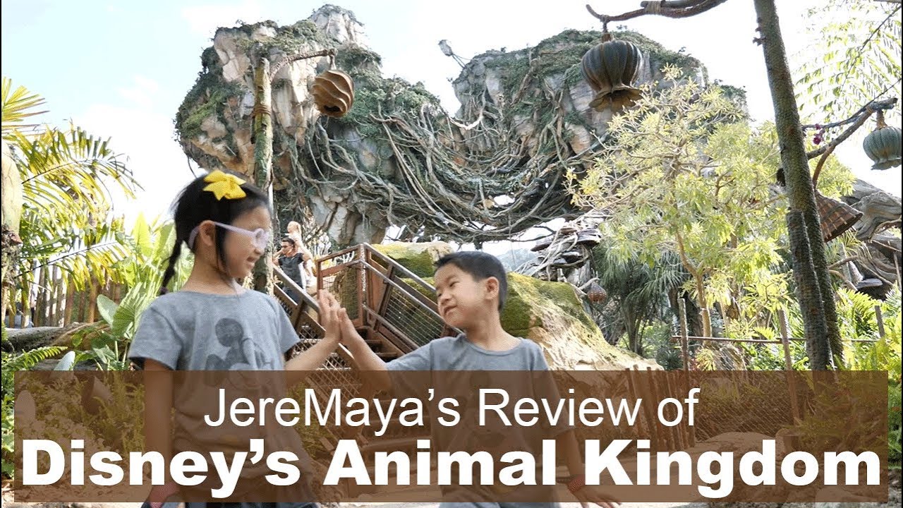 JereMaya's Review of Disney's Animal Kingdom - YouTube
