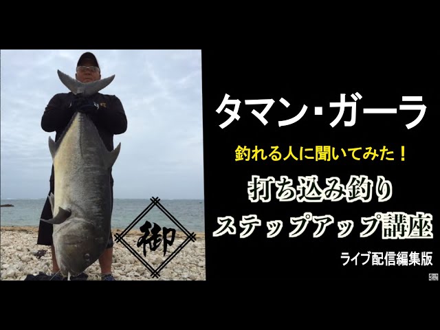 Vol.345 Beginners should check this out! Valuable fishing tips: We 