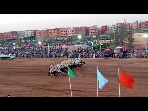 أجواء التبوريدة من موسم سيدي المختار في نسخته 57