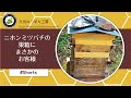 ニホンミツバチ【巣箱に珍客万来】#Shorts