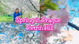SPRING IN PRAGUE |PETRIN HILL |SILENT VLOG  🌸