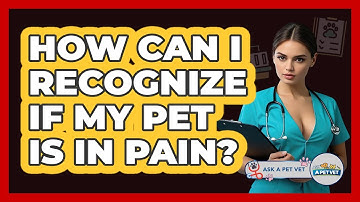 How Can I Recognize If My Pet Is In Pain? - Ask A Pet Vet