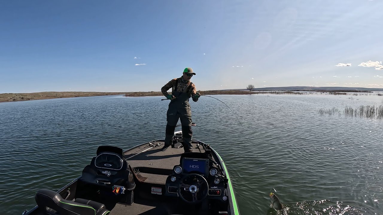 2025 Spring bass fishing Potholes Reservoir 