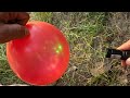 Balloon vs Green Laser! Will It Pop? 😱 | Amazing Laser Experiment 🔥 EP 5