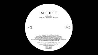 Alif Tree - Never Be The Same (TJ Kong & Nuno Dos Santos Remix)
