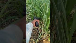toy gun shooting sports part 2