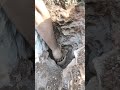 A Shocking Discovery Underground! #adventure #treasuresearch #gold #satisfying#metaldetecting#shorts