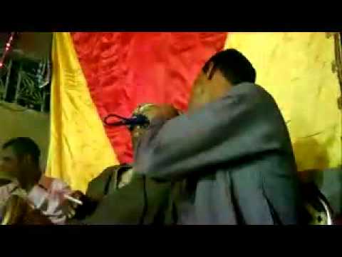 الفنان عيد الشرونى