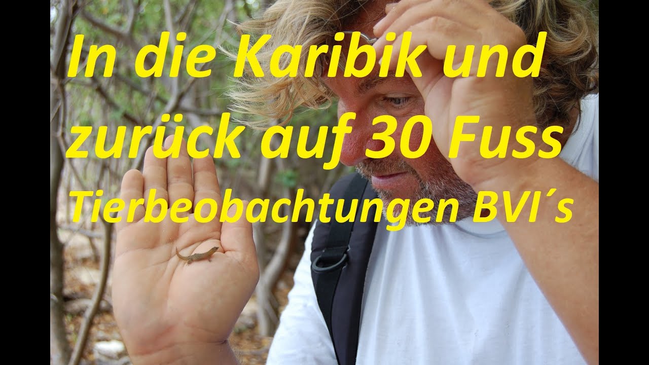 Teil 10 BVI