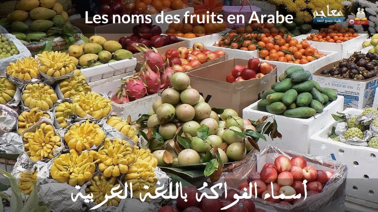 Les Fruits Et Legumes En Arabe