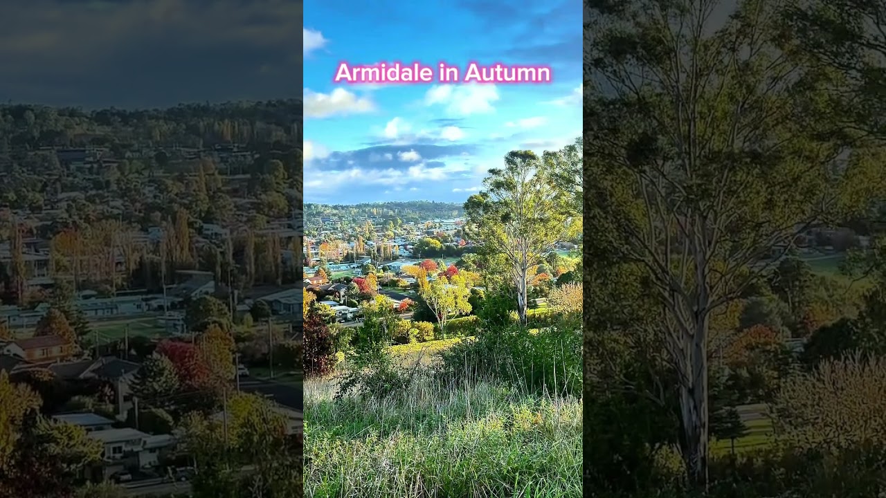 Stunning Armidale in Autumn 