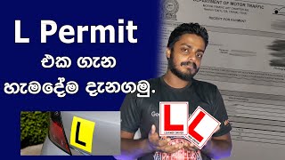 L Permit Sri Lanka sinhala - Drive with sachee