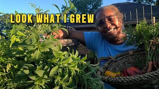 I LOVE My GreenStalks... And THIS Is Why! 🌱