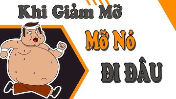 Khi Giảm Mỡ, MỠ SẼ ĐI ĐÂU, Quá Trình Giảm Mỡ II MB Nguyen Fitness