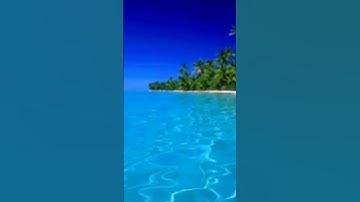 ٢٥ سبتمبر، ٢٠٢٤مقطع من سورة البقرة