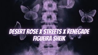 Desert Rose x Streets x Renegade (Figueira Remix - Mashup) Tok Tok Version #mashupsong #tiktokvideo