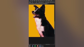 Easy and fast way to refine edges in photoshop #shorts  #photoshop  #adobe #tipsandtricks