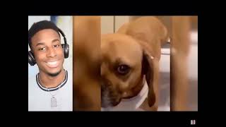 Thats Enough Youtube Shorts For Today Credits