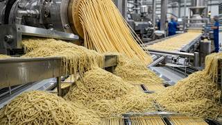 Massive Spaghetti Factory Revealed – How They Make 2,400 Tons Every Single Day