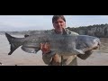 Catfish Dave Conquers North Carolina