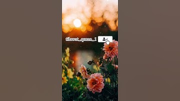 تلاوة خاشعة ماشاء الله ❤