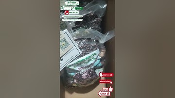 Chia sẻ về các loại Chuối Hột Rừng từ Kon Tum