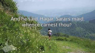 Genesis 16:8 - And he said, Hagar, Sarai's maid, whence camest thou? - Bible Verses
