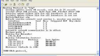 265   22  RIP Protocol   11  Show Commands screenshot 4