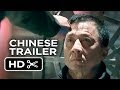 POLICE STORY (2013)