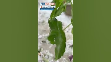 Hail in Austin Area