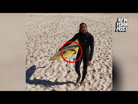 Man takes pet snake surfing in wild video: ‘She loved to be in the water’
